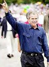 bush