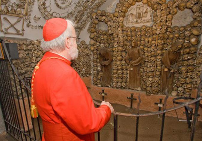 cardinal approves wall