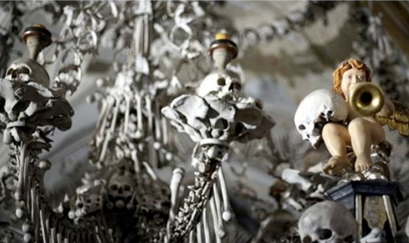 skulls everywhere