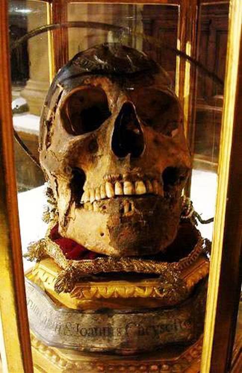 Italian skull
