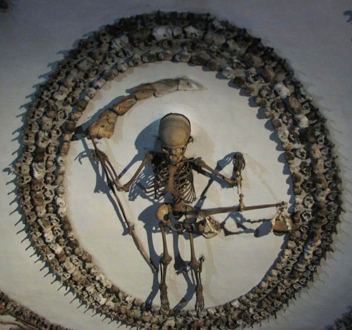 skull justice
