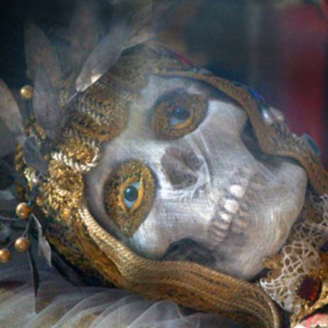 beautiful skull face